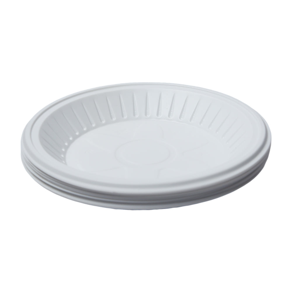 HOUSE & CO DISP PLASTIC PLATE LARGE 10PCS