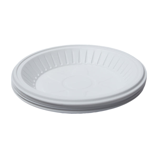 HOUSE & CO DISP PLASTIC PLATE LARGE 10PCS