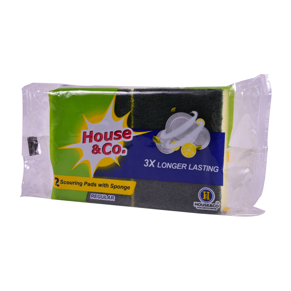 HOUSE&CO. SCOURING PAD WITH SPONGE REGULAR 2IN1